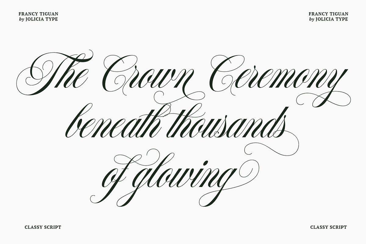 Francy Tiguan | Classy Script Font, a Script Font by Jolicia Type (Photo 5 of 12)