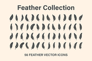 Feather Vector Collection
