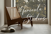 Dialmeray | Elegant Calligraphy Scri, a Script Font by gracetype_studio (Thumbnail 4 of 12)