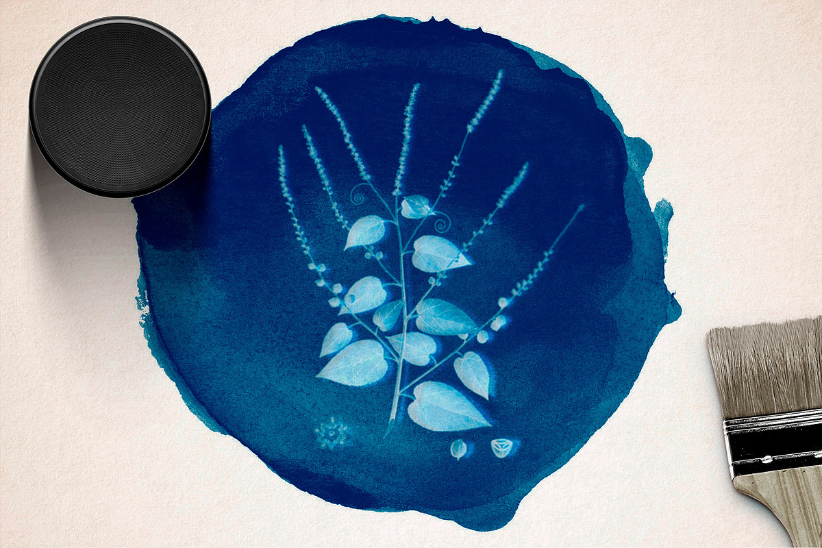 CYANOTYPE Digital Photoshop Effect, a Plug-in Add-On by PhotoSpirit (Photo 11 of 11)