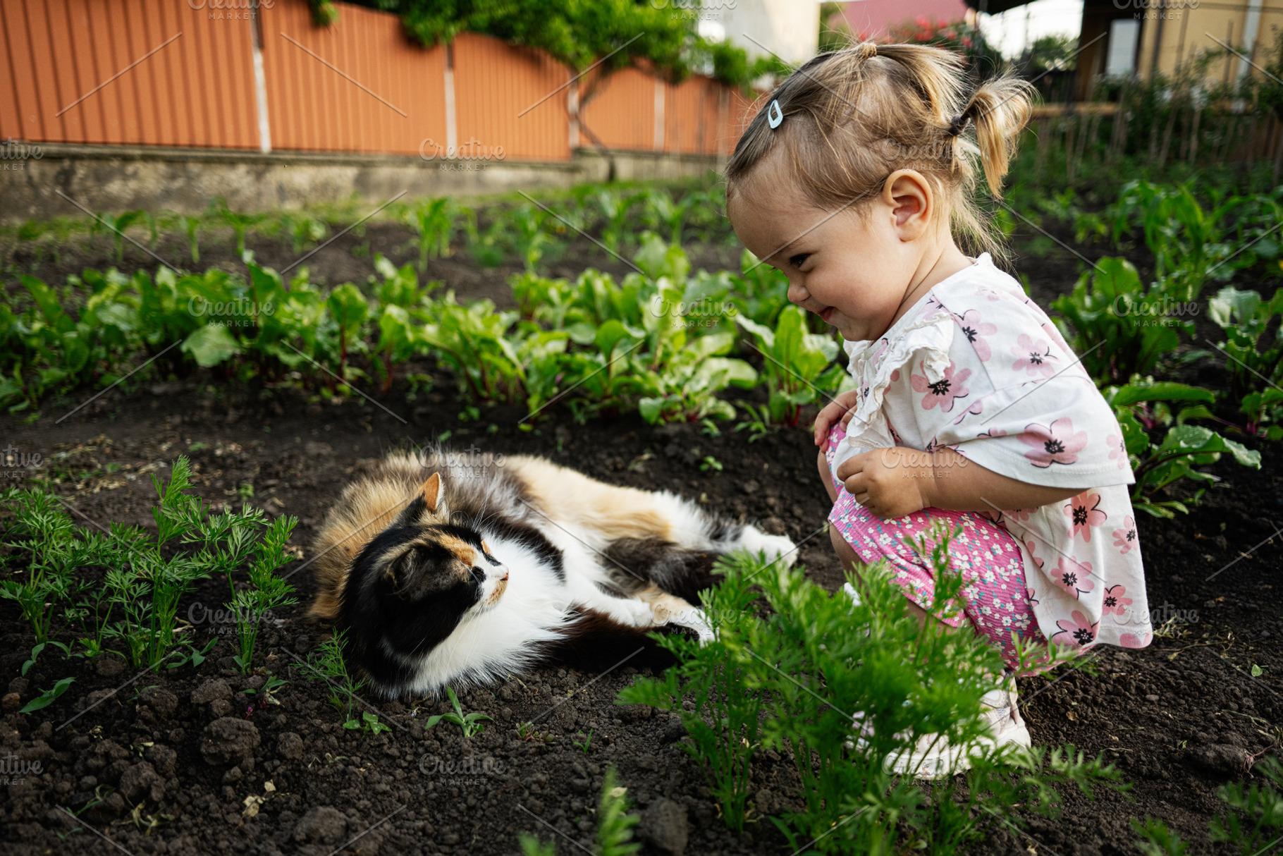 Child smiling at a cat on soil in lush vegetable garden, a Person Photo by AS photostudio