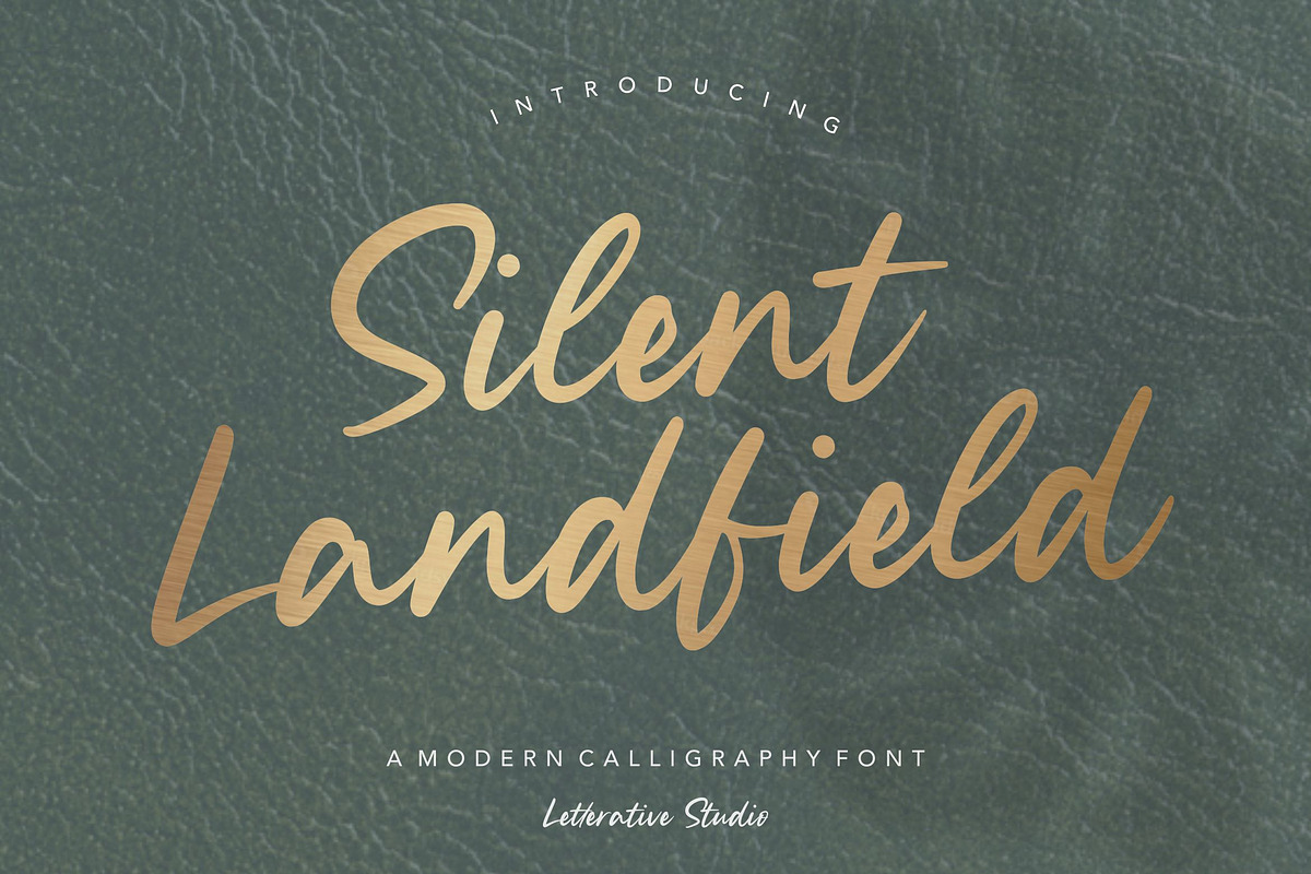 Silent Landfield - Modern Font, a Script Font by Letterative Studio (Photo 1 of 7)