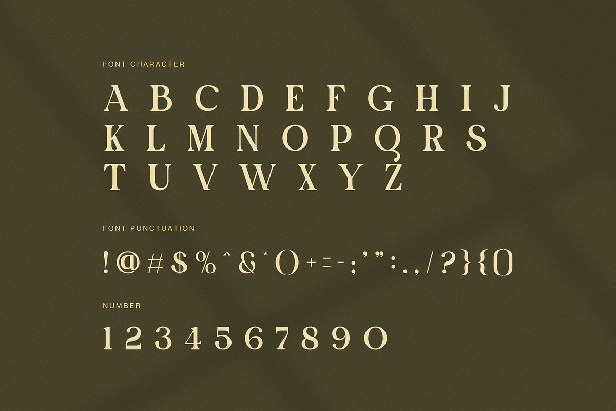 Chiko Elegant Ligature Serif Font, a Serif Font by Perfectype (Photo 7 of 8)