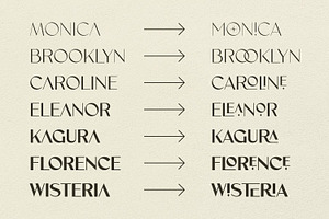 Vonca Font Family