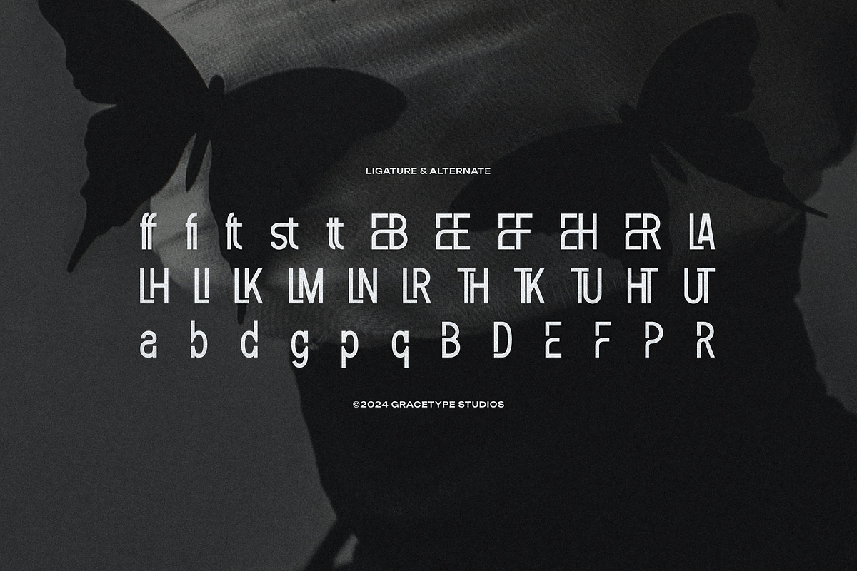 Feaqsta | Display Sans Serif, a Sans Serif Font by gracetype_studio (Photo 12 of 12)
