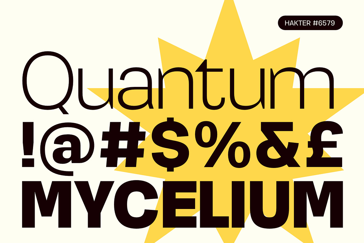 Hakter — Modern Grotesk Sans Serif, a Sans Serif Font by ESEM (Photo 6 of 9)