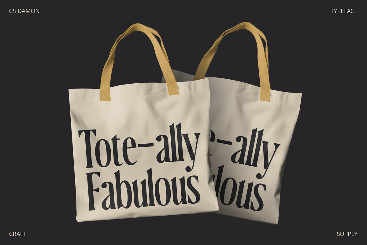 CS Damon – Condensed Font, a Serif Font by Craft Supply Co. (Photo 5 of 8)