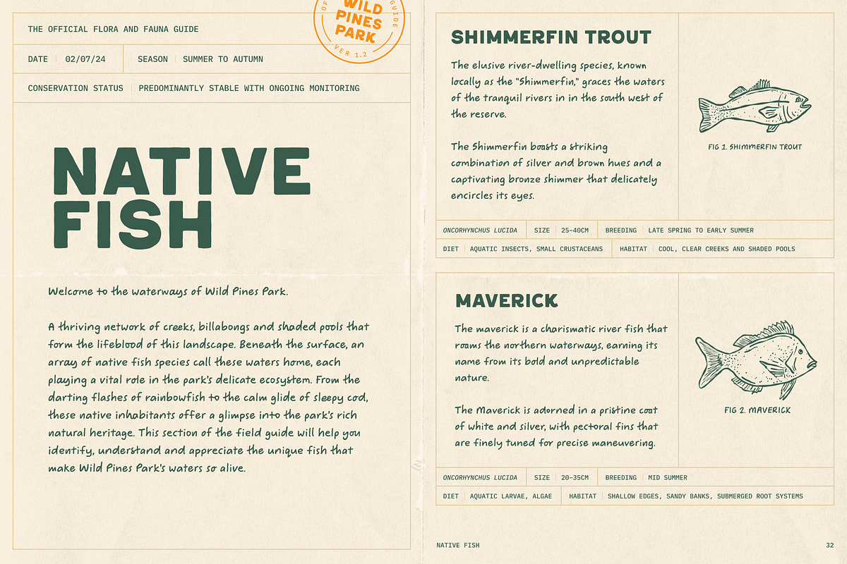 Wild Pines Park National Park Font, a Sans Serif Font by TYPEHEIST (Photo 7 of 10)