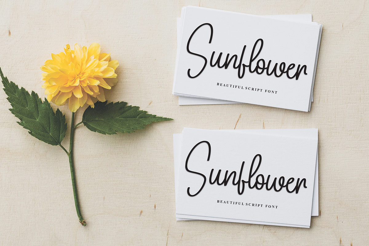 Eliana Signature | Script Font, a Handwritten Font by Scratchones (Photo 4 of 8)