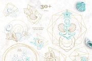 Golden Seashells Collection, an Object Graphic by ilonitta (Thumbnail 7 of 19)