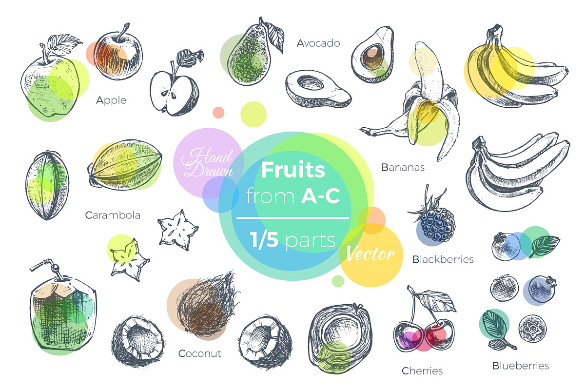 Fruits - hand drawn vector set, a Food Illustration by Margo Miller (Photo 8 of 25)
