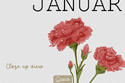 Flower Birth Month with Text Meaning, a Decorative Illustration by creationsbyapuruh (Thumbnail 4 of 10)