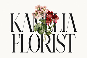 Najika Elegant Serif Font Typeface