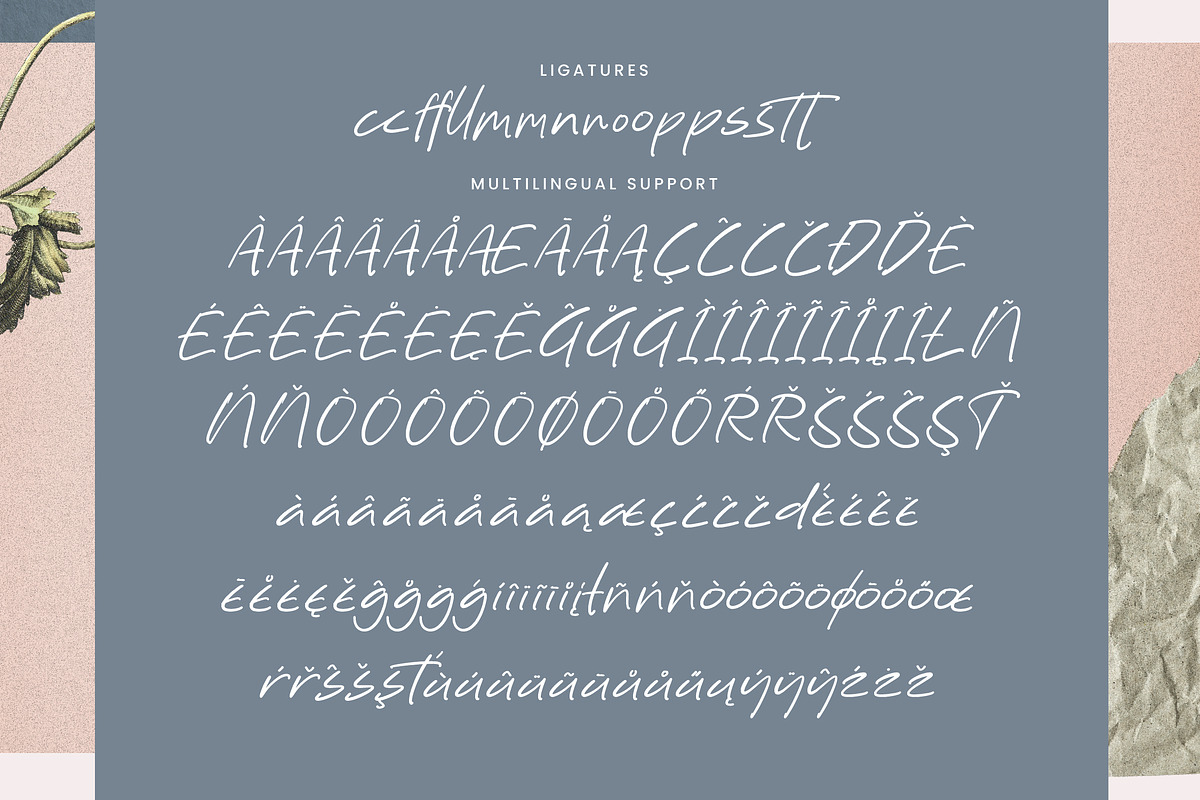 Workspace Relaxed Natural Flow, a Handwritten Font by operatype.co (Photo 14 of 15)