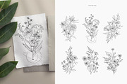 Wildflowers collection, a Decorative Illustration by Merfin (Thumbnail 6 of 11)