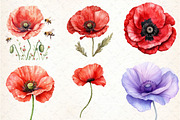 Flowers Clipart Poppy Flowers, an Illustration by DreamCafeArt (Thumbnail 3 of 7)