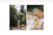 Summer Picnic | 24 Styled Photos, a Person Photo by Nina Stock Photos (Thumbnail 8 of 12)
