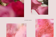 Dreamy Romantic Floral Backgrounds, a Background Graphic by eclosque (Thumbnail 6 of 27)