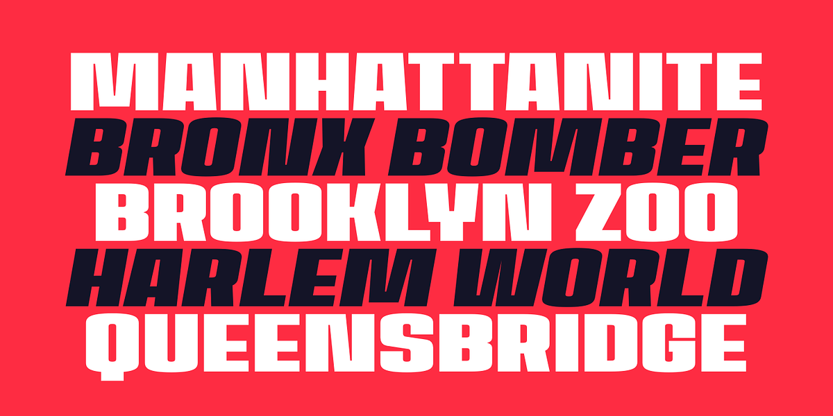 House Sans, a Sans Serif Font by TypeUnion (Photo 2 of 15)