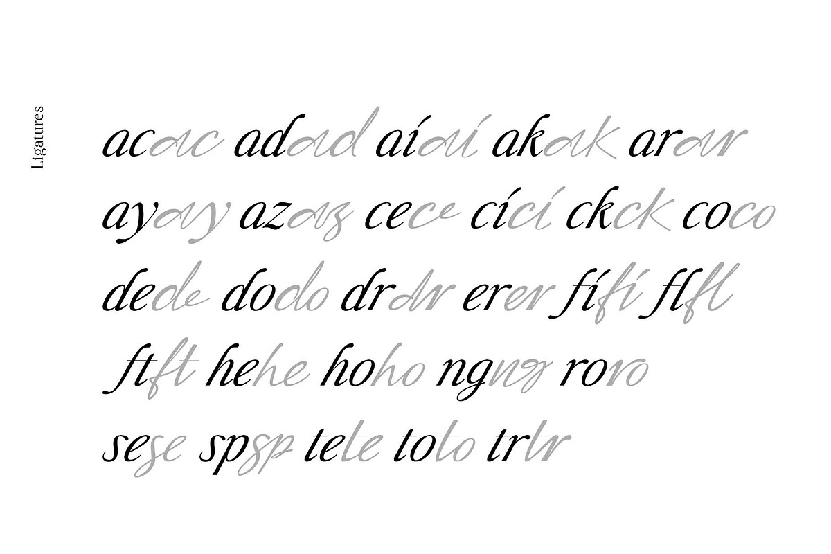 Liliane Classe Serif Font Family, a Serif Font by Ryul Davidson (Photo 10 of 21)