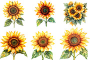 Watercolor Sunflower Clipart Bundle, an Illustration by Designking (Thumbnail 5 of 6)