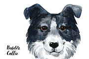 Breeds of dogs - watercolor. Part 3, an Animal Illustration by KatBranchArt (Thumbnail 2 of 5)