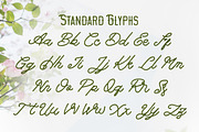 Anthalucya Monoline Script font, a Script Font by Anomali Creatype (Thumbnail 13 of 13)