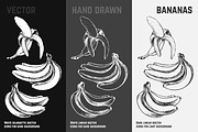 Fruits - hand drawn vector set, a Food Illustration by Margo Miller (Thumbnail 14 of 25)