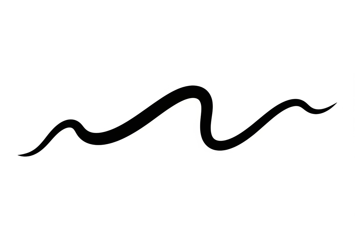 Wavy Divider Line Vector Bundle, an Illustration by jahid234 (Photo 33 of 51)
