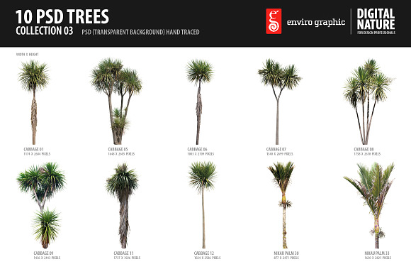 10 PSD Trees Collection 3 preview 5