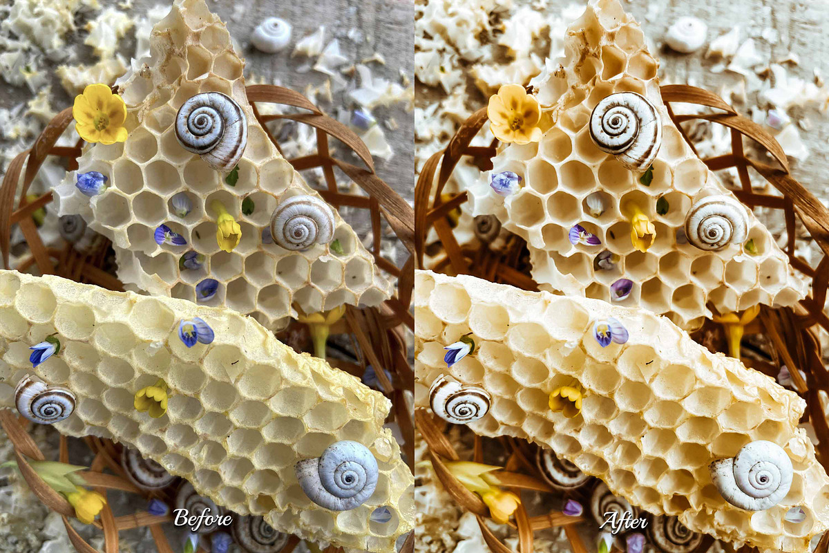 30 Honey LUT Collection, a Preset Add-On by 3Motional (Photo 6 of 10)