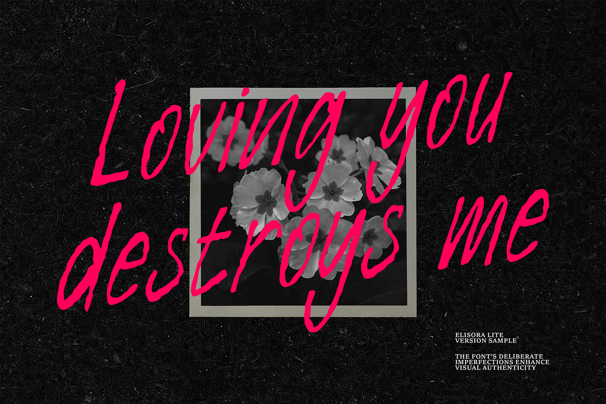Elysora - Handwritten Script Font, a Script Font by Typeparties (Photo 4 of 13)