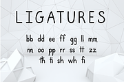 Laurelin, a dyslexia friendly font, a Sans Serif Font by Lindsay Hartwell (Thumbnail 5 of 6)