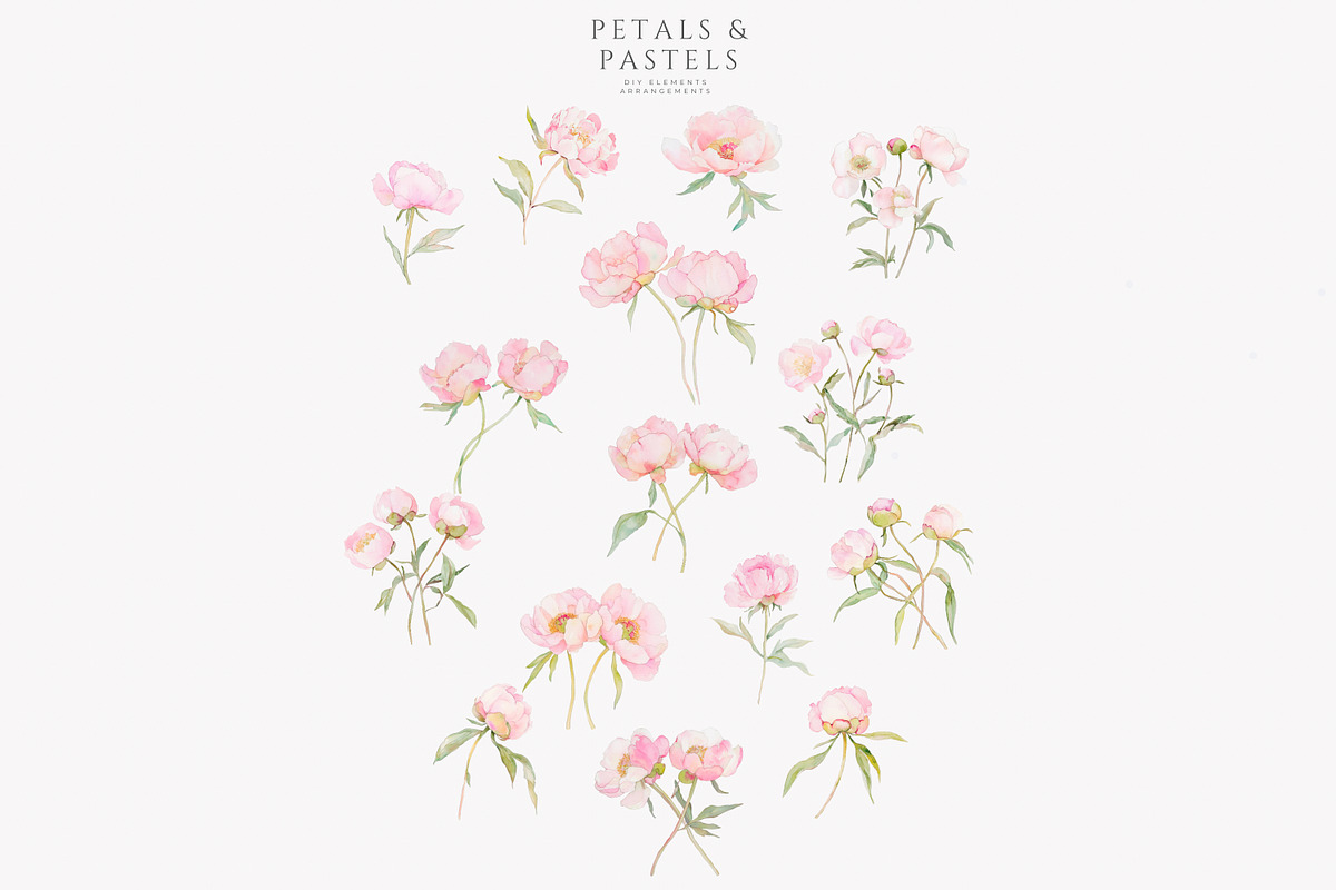 watercolor coquette pink peony set, a Decorative Illustration by Patishop Art (Photo 9 of 10)