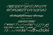 Radiate Yethina Modern Script Font, a Script Font by stylishtype.co (Thumbnail 19 of 20)