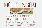 Sassy Born - Modern Elegant Font, a Serif Font by Qweera Studio (Thumbnail 9 of 12)