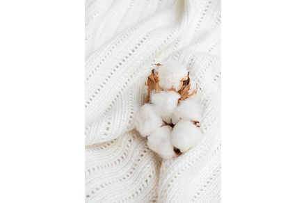 Raw cotton buds on cotton texture containing cotton, background, and white, a Nature Photo by Neirfy