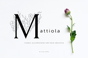 Mattiola font Floral illustrations, a Symbol Font by Alice_Evans (Thumbnail 1 of 11)