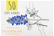 50 State Flowers for Coloring books, a Graphic by Hanatist Studio (Thumbnail 2 of 8)
