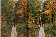 FALL LIGHTROOM PRESETS BRIGHT AUTUMN, a Preset Add-On by Victoria Bee Presets (Thumbnail 2 of 9)