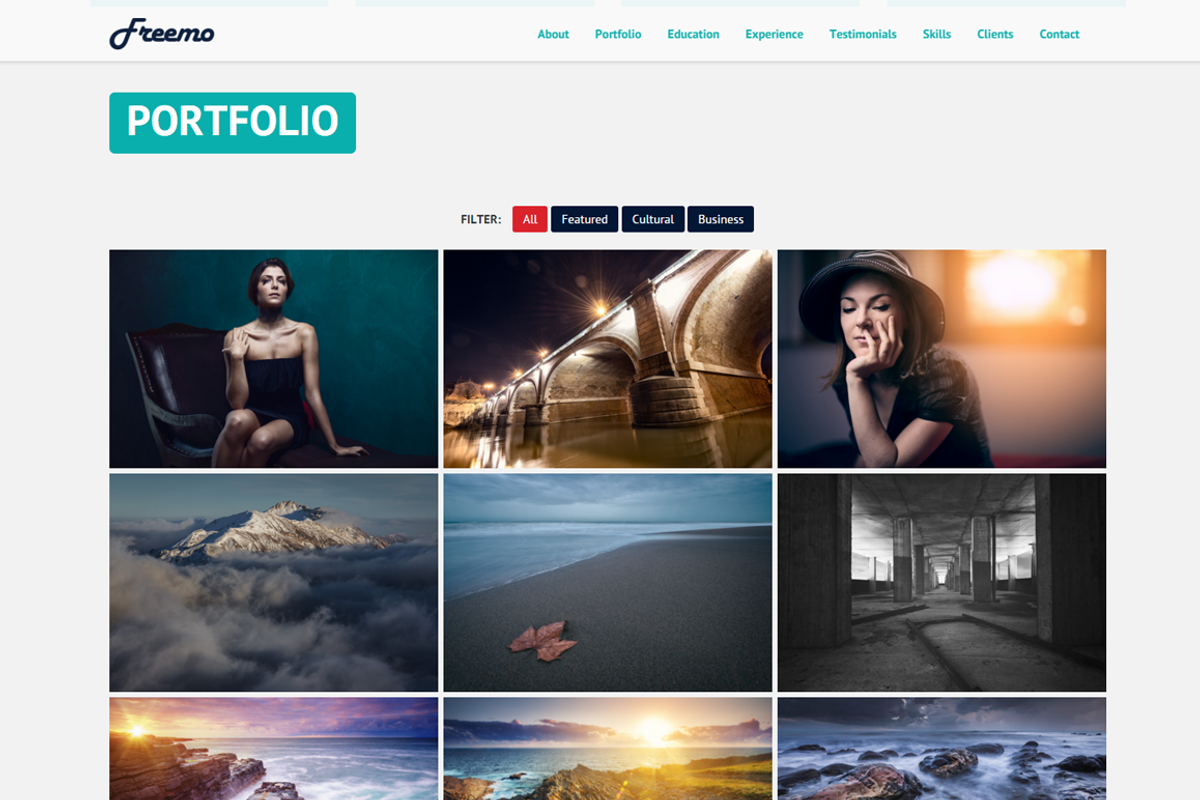 Freemo - Resume / Portfólio Theme, a HTML Template by ThemeBear (Photo 3 of 5)
