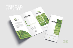 Trifold Nature Template