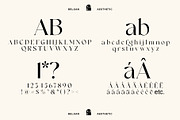 Belgan Aesthetic, a Serif Font by INKSUN™ (Thumbnail 12 of 16)