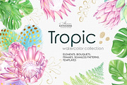 Tropic protea, watercolor clip art, a Seasonal Illustration by katmonne (Thumbnail 1 of 9)
