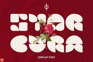 Starburn Display Font Typeface