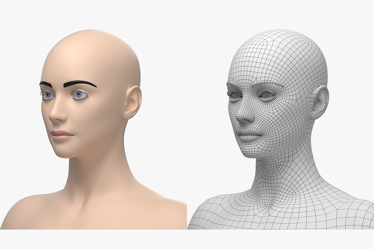 Natural Female 01 A-Pose Base Mesh, a Characters & Person 3D Model by VK Studio (Photo 19 of 26)