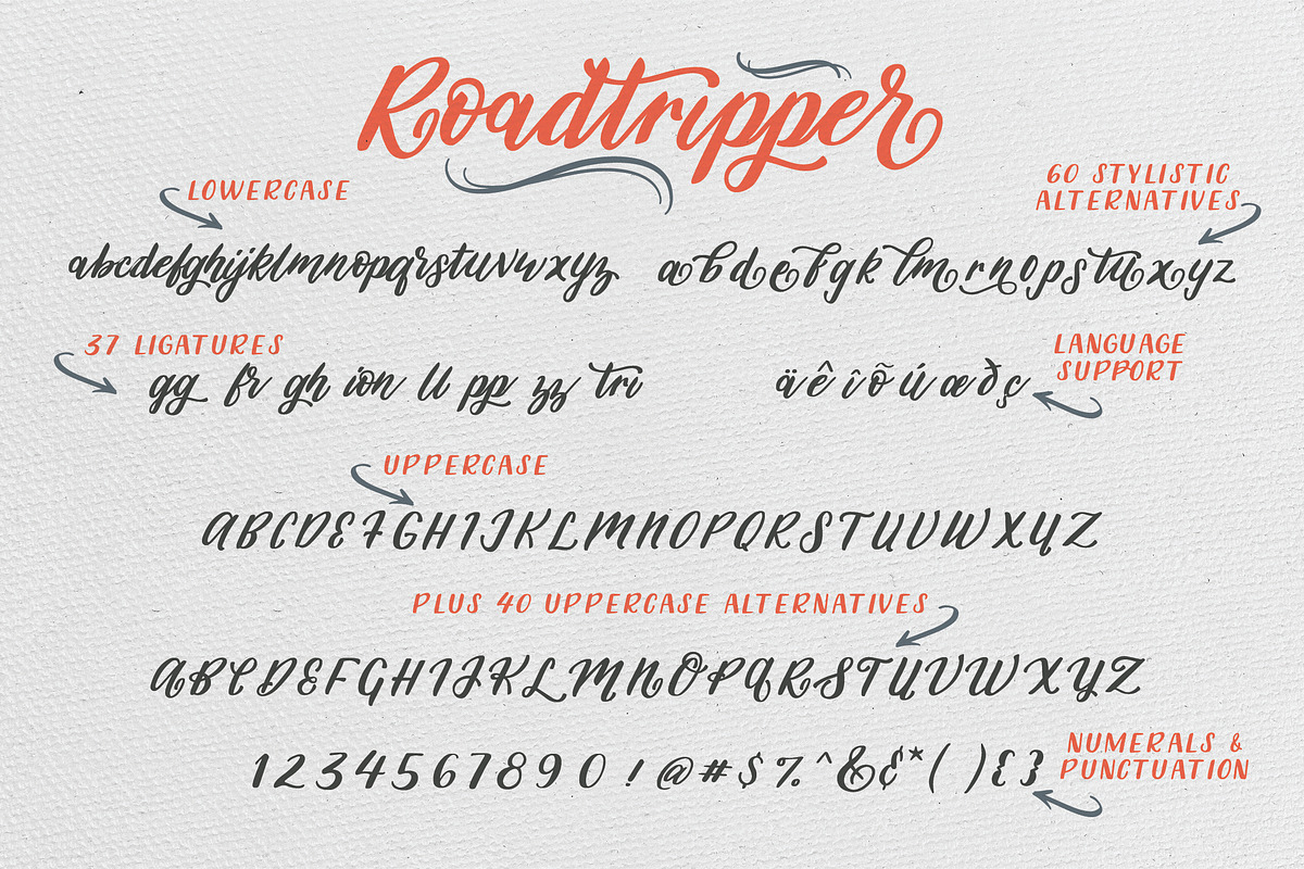 Roadtripper Script preview 5