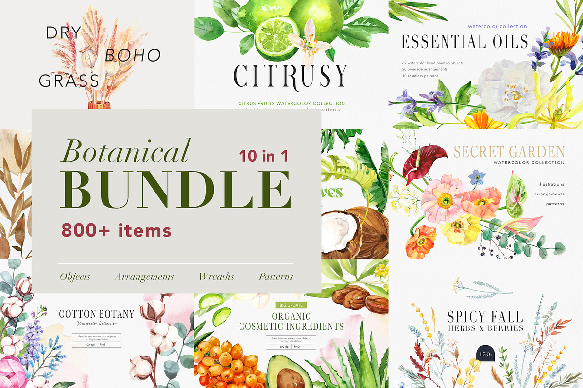 Botanical BUNDLE 10 in 1, a Decorative Illustration by Volha Studio (Photo 1 of 11)