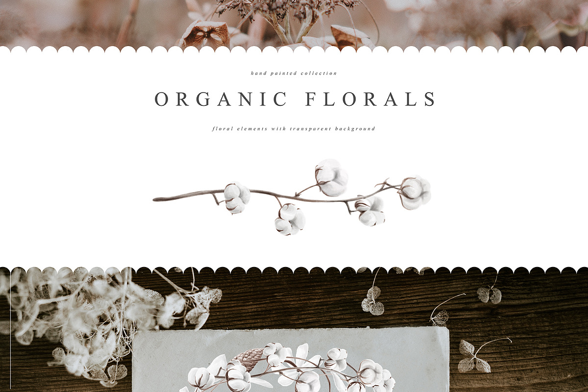 Trendy Leaf Collection, a Texture Illustration by Julia Dreams (Photo 3 of 10)