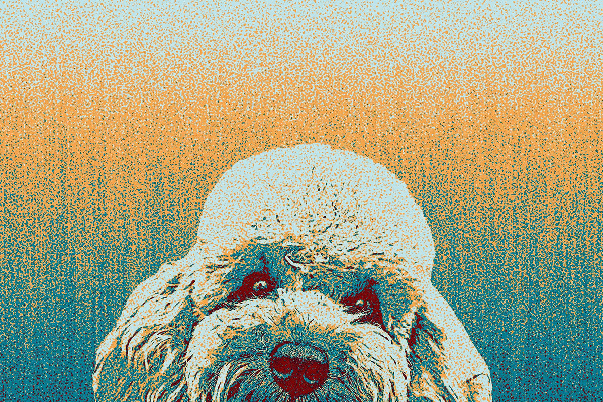 Grain Retro Poster Effect, an Action Add-On by MRI STUDIO (Photo 13 of 14)
